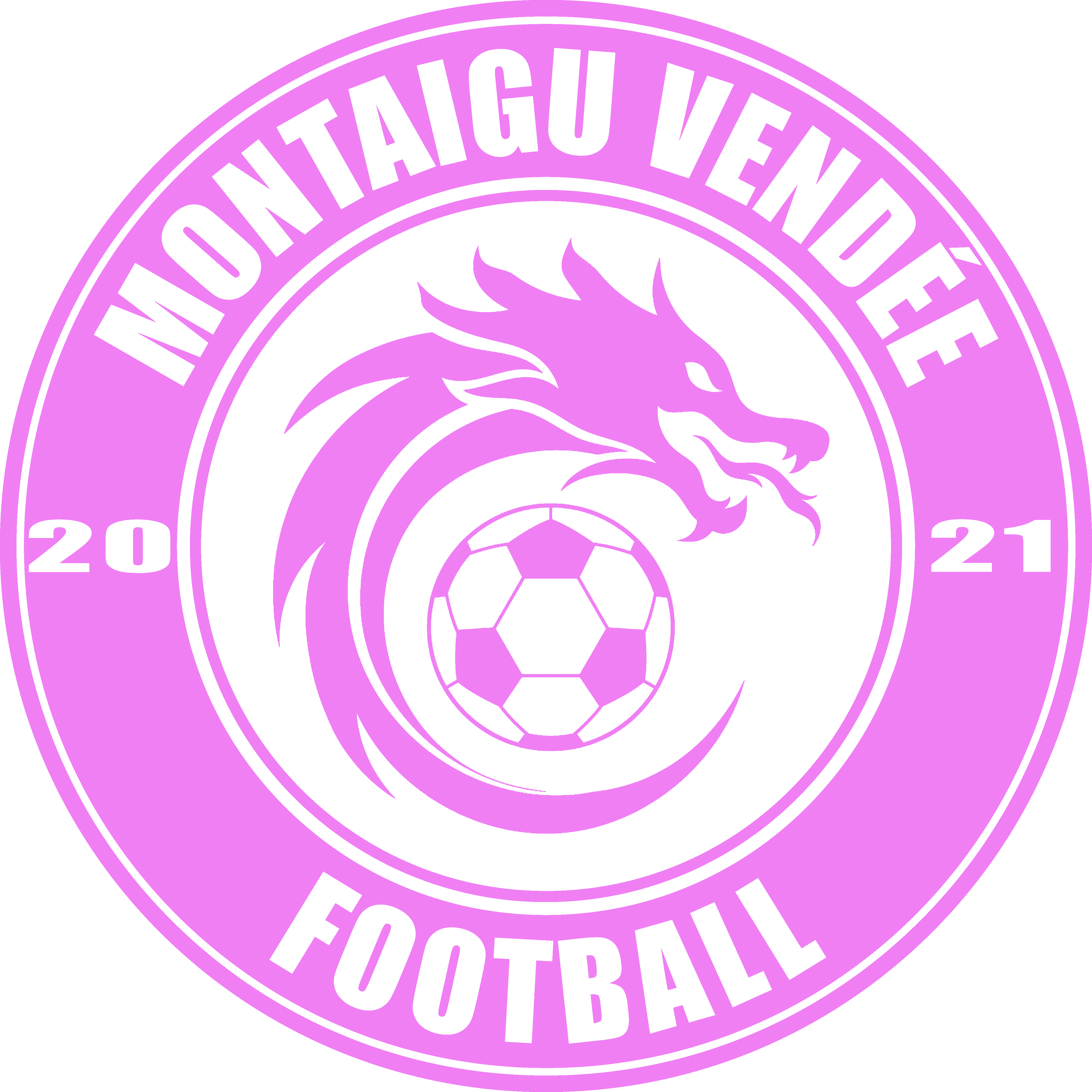 Montaigu Vendée Football